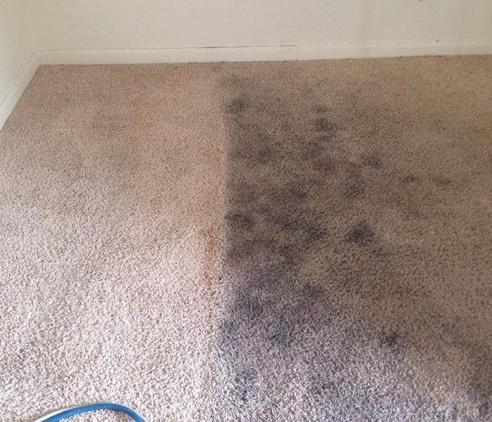 Clean side of carpet next to dirty side of carpet.