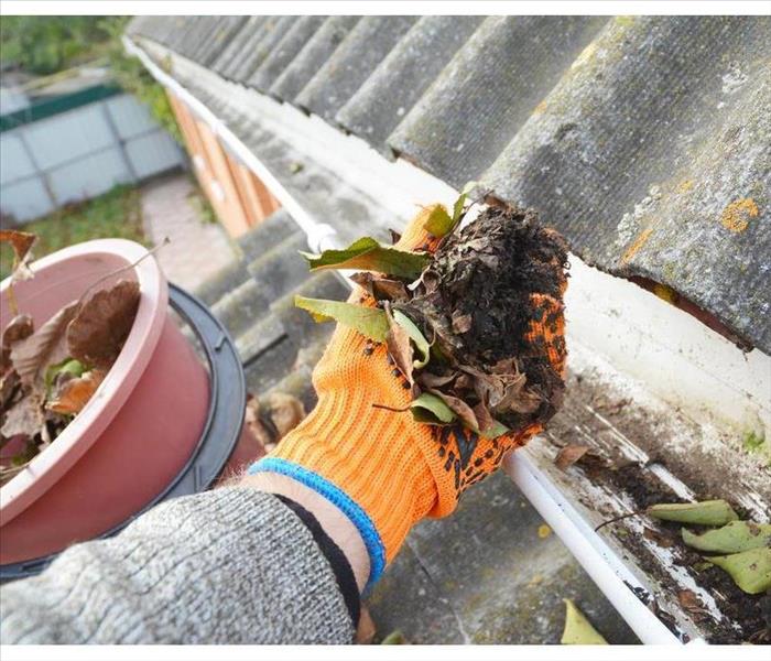 Cleaning gutters during the summer time.