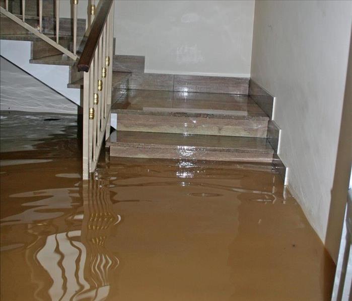 Contaminated water floods a house, the water reaches up to the stairs